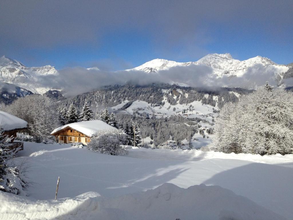 Le Caprice Des Neiges Crest-Voland Exterior foto