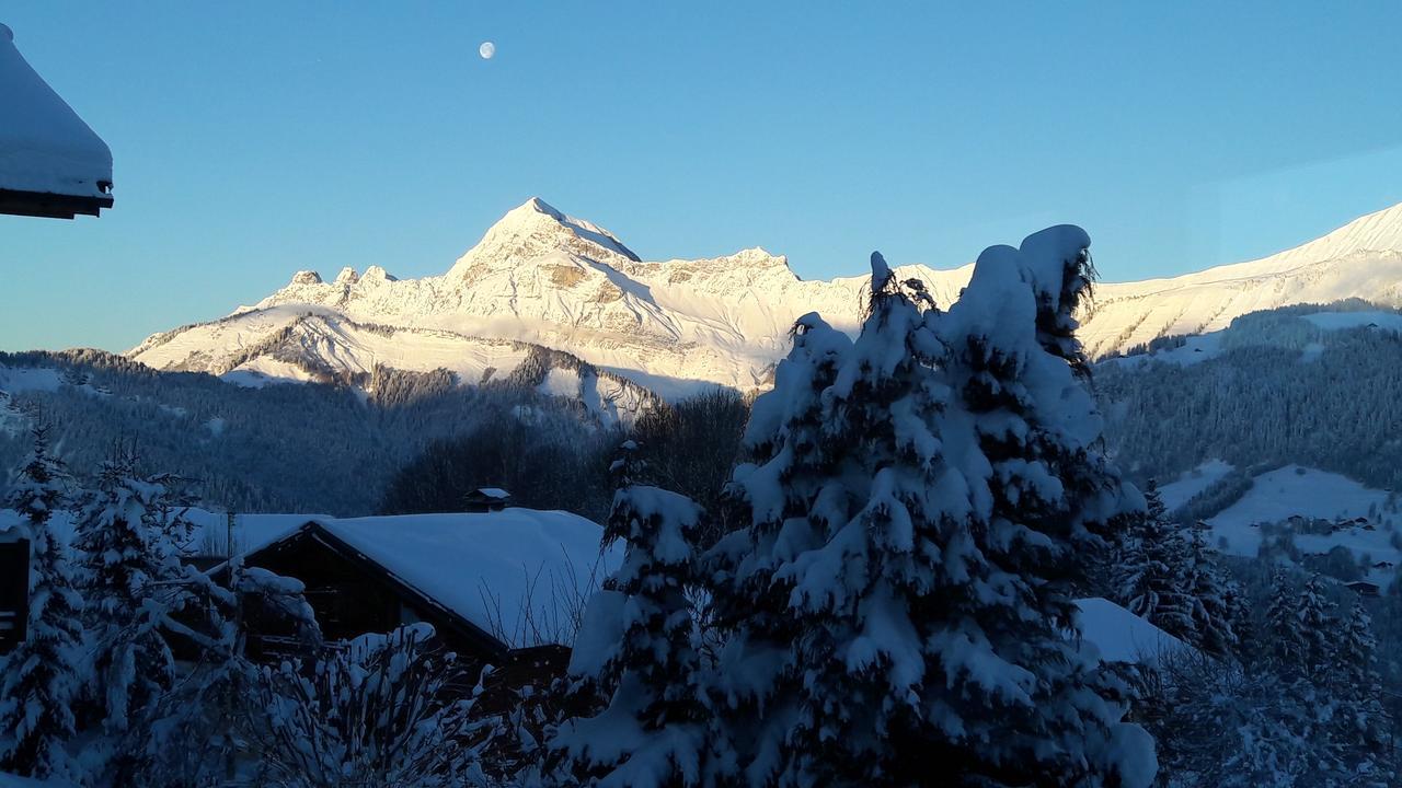 Le Caprice Des Neiges Crest-Voland Quarto foto