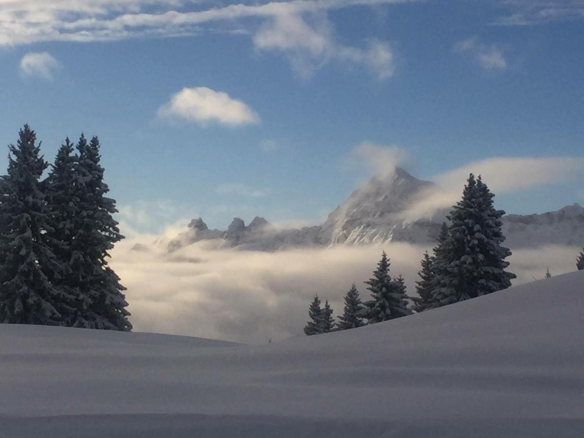 Le Caprice Des Neiges Crest-Voland Quarto foto